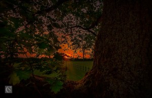 Chemin des Dames - Cimetière de Malmaison