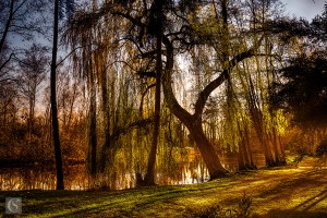 Laon - Domaine de la Solitude