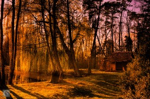 Laon - Domaine de la Solitude