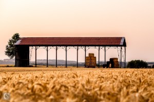 Chemin des Dames - Grange - Cerny-en-Laonnois