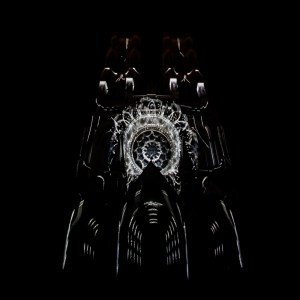 Cathédrale Notre-Dame de Laon - Spectacle "Pulsations" 2019