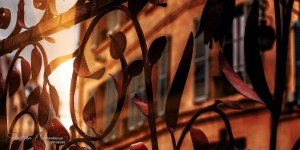 Laon - Fer forgé - Place de la Mairie